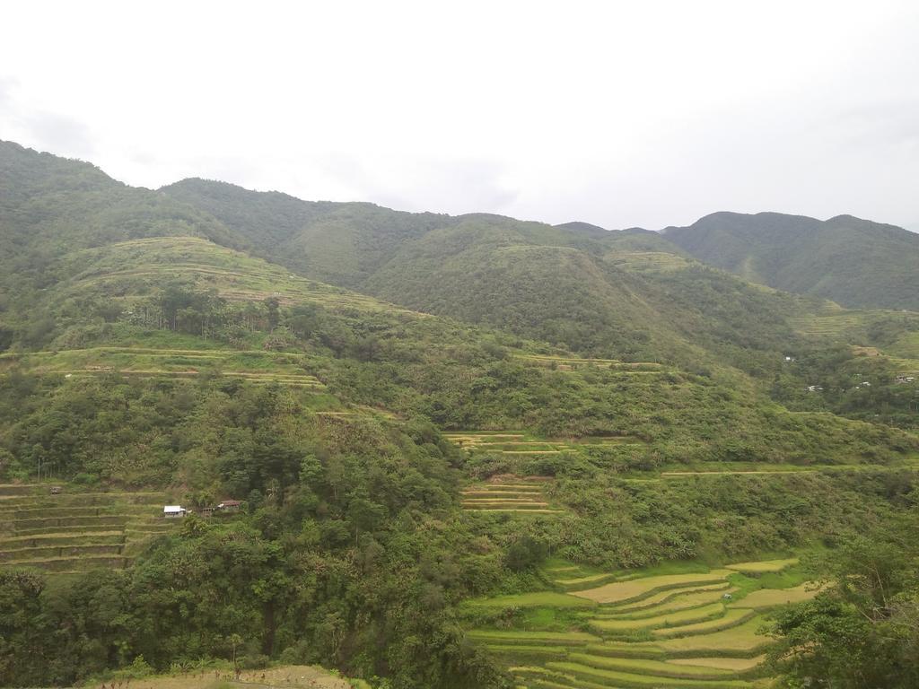 Banaue Sunrise Guest House Kültér fotó